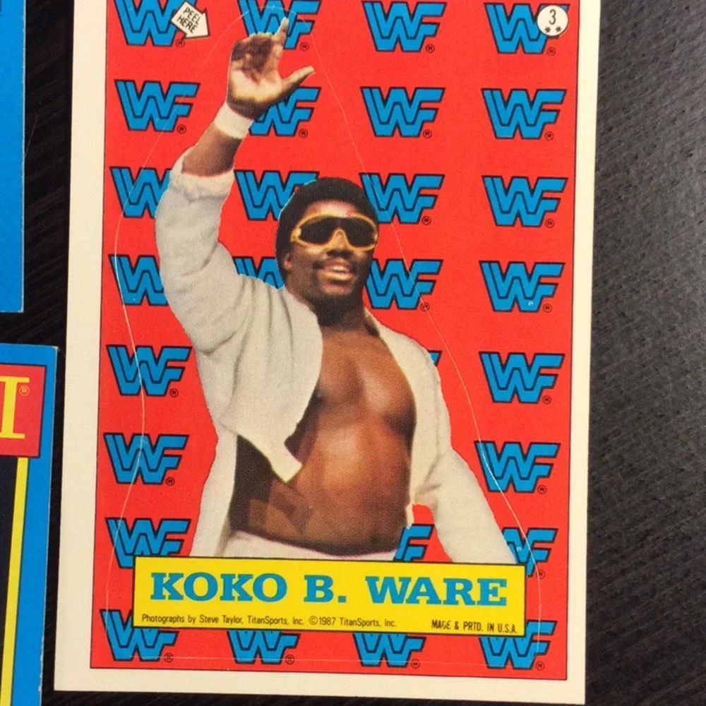 1987 WWF Wrestling Topps (10) cards Andre the Giant Hulk Hogan The Challenge - Picture 7 of 12